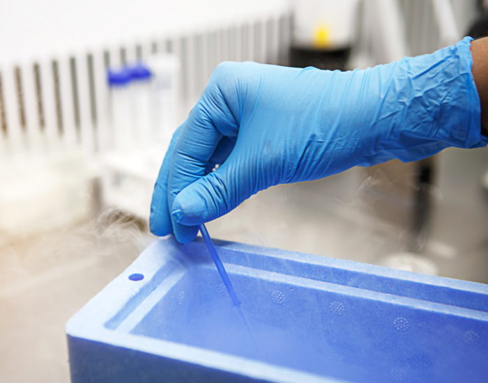 Cryopreservation Treatment at Mehrotra Hospital