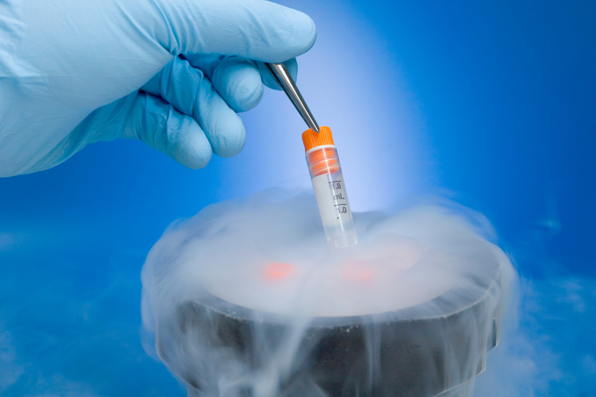 Cryopreservation – egg and embryo freezing